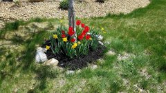 Spring Clean Up - quaint flower bed
